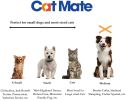 Cat Mate Large Cat Flap 4 Way Locking Door