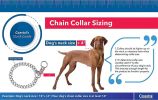 Coastal Pet Herm Sprenger Steel Slip Training Dog Collar 2.5mm