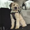 Coastal Pet Easy Ride Adjustable Dog Car Harness