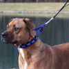 Coastal Pet Natural Control Training Collar Links