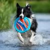 Chuckit Original Lite Flight Dog Disc