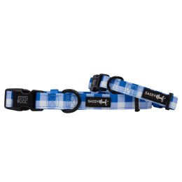 Sassy Woof Dog Collars (Color: The Wizard of Paws, Size: Small)