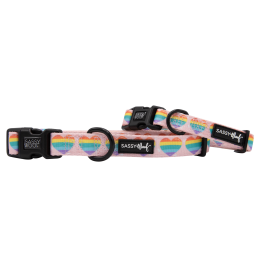 Sassy Woof Dog Collars (Color: Paws of Love, Size: Small)