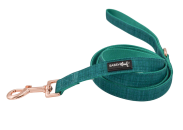 Leash (Color: Green, Size: One Size)