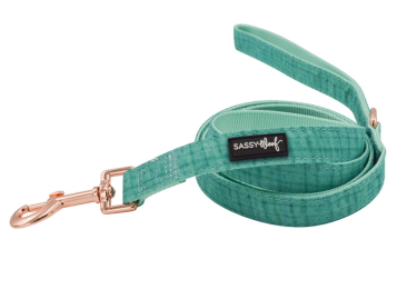 Leash (Color: Teal, Size: One Size)