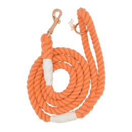 Rope Leash (Color: Orange, Size: 5 feet)