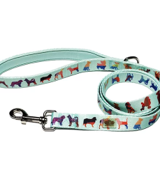 Dog Leash (Color: Seafoam, Size: Small)