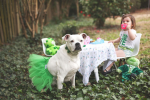 Green Christmas Dog Tutu Skirt