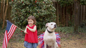 Red/White/Blue 4th Of July Dog Tutu Skirt