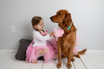 Light Pink Dog Tutu Skirt