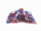 Red/White/Blue 4th Of July Dog Tutu Skirt