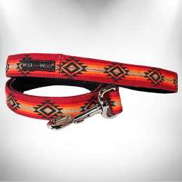 RaDog Leash (Color: Sky Fire, Size: REGULAR 1" width- 5' long)