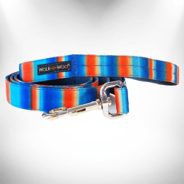 Tie Dye Dog Leads (Color: Blue/Orange, Size: REGULAR Lead 1" width- 5' length)