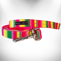 Tie Dye Dog Leads (Color: Pink/Green, Size: THIN Lead 5/8" width- 5' length)