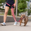 GF Pet Reflective Leash - EEZY-11