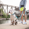 GF Pet  Reflective Leash