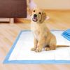 Four Paws Original Wee Wee Pads Floor Armor Leak-Proof System for All Dogs and Puppies