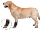 ZenPet Ligament Protector Ortho Wrap